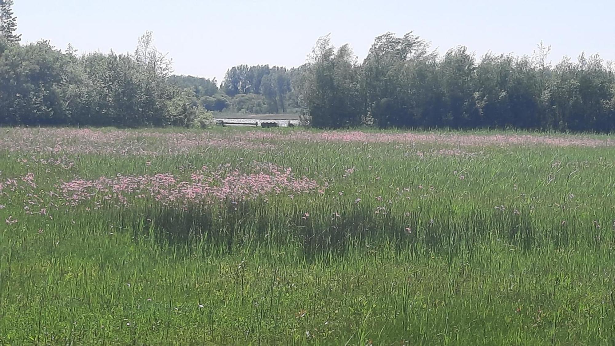 Chalet Trigano 1-6 Pers- 3 Slaapk- 2 Badk- Berging- Inchecken Al Vanaf 13 Uur Лауверсог Екстериор снимка